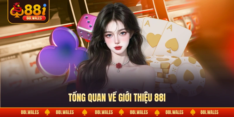 Giới Thiệu 88I 1 Tổng quan về giới thiệu 88I