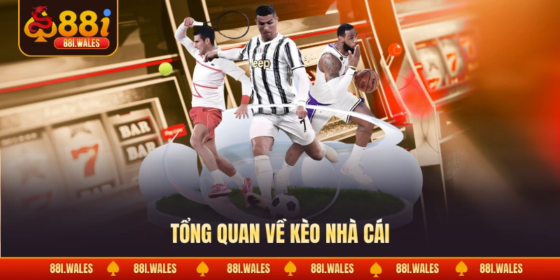 Tổng quan về kèo nhà cái