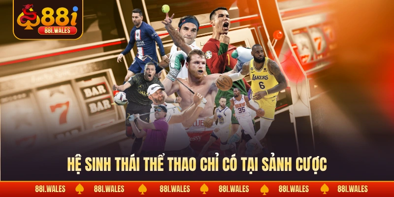 Hệ sinh thái thể thao chỉ có tại sảnh cược